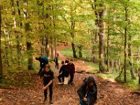 Zloty Lisc 2021 (39)